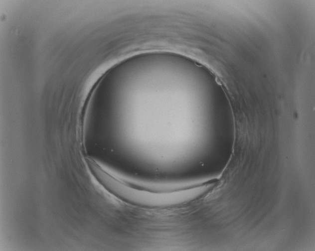 X0000074261527200609081723