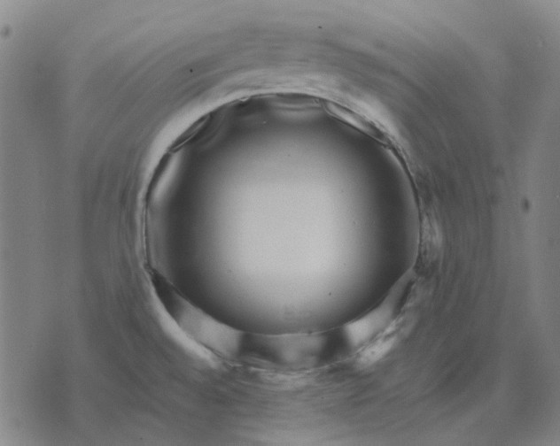 X0000074261528200609081723