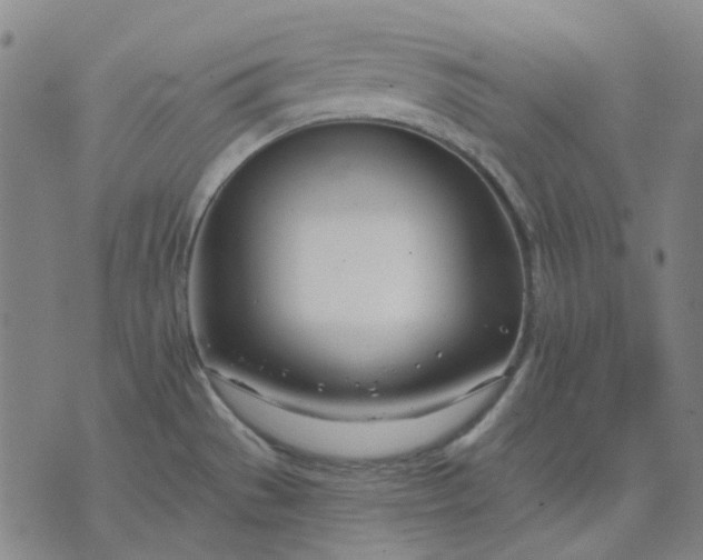 X0000074261529200609081723