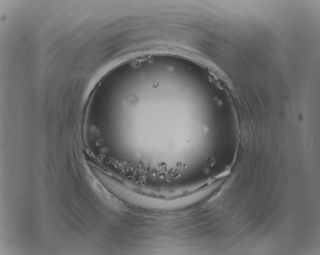 X0000074261530200609081723