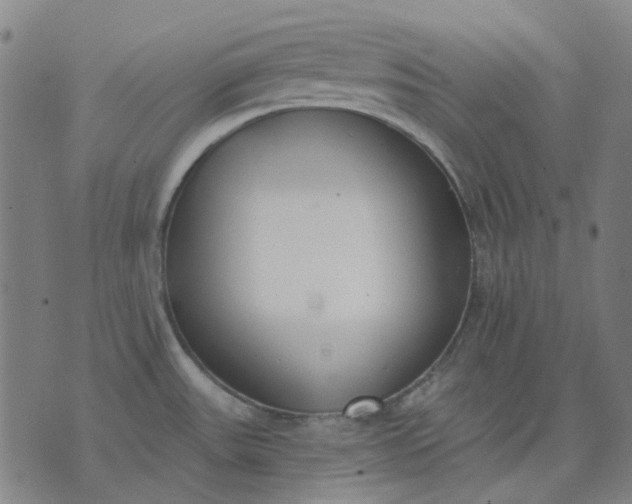 X0000074261531200609081723