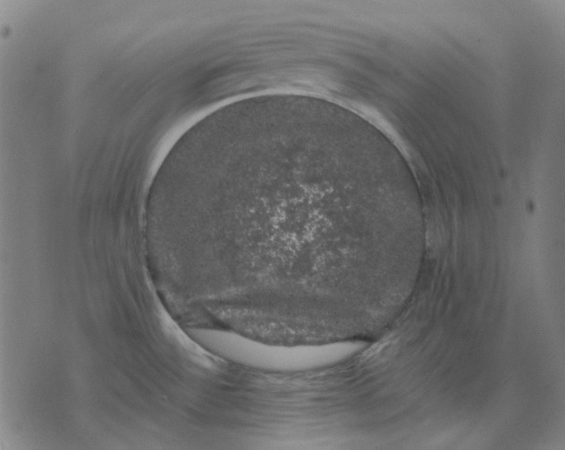 X0000074261532200609081723