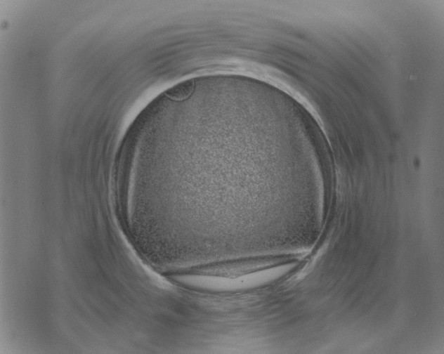 X0000074261533200609081723