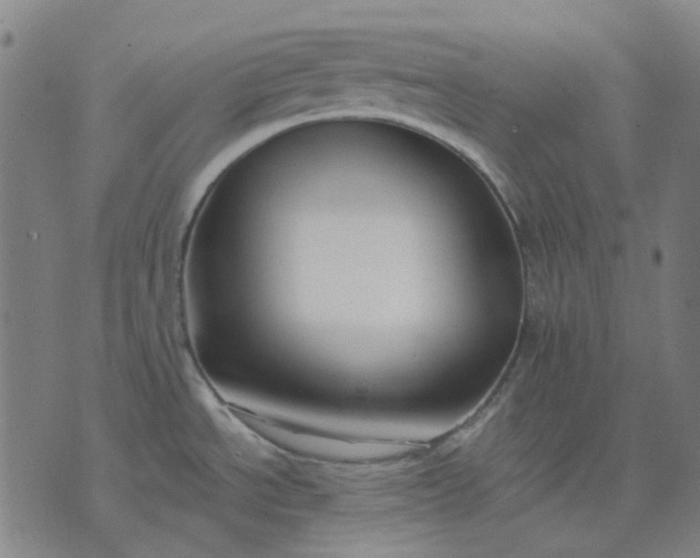 X0000074261534200609081723