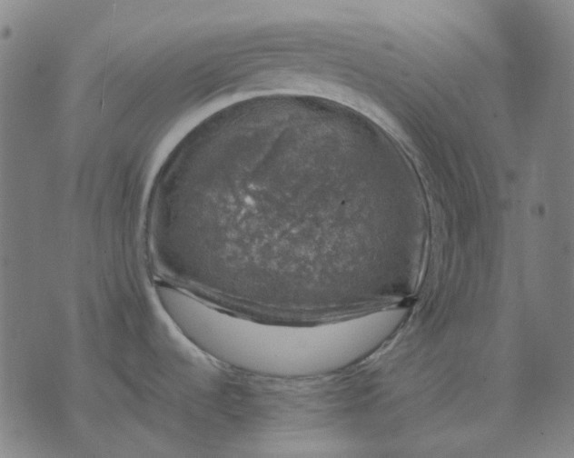 X0000074261536200609081723