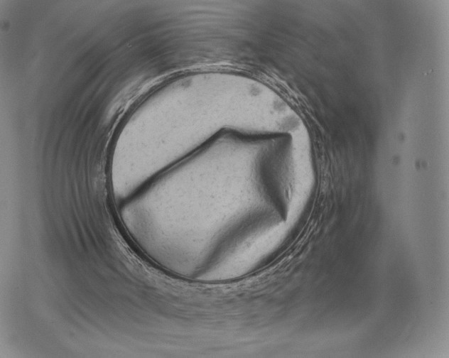 X0000074260002200609151813