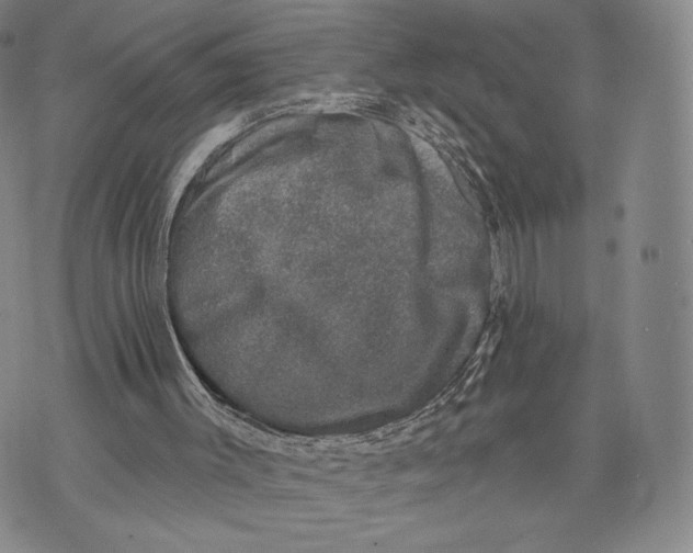 X0000074260003200609151813