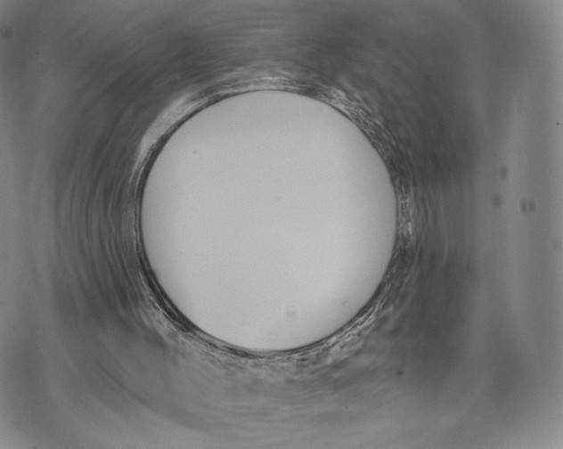 X0000074260004200609151813