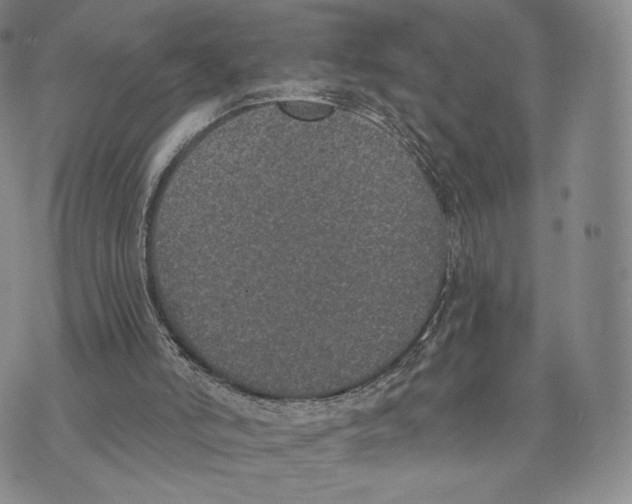 X0000074260006200609151813