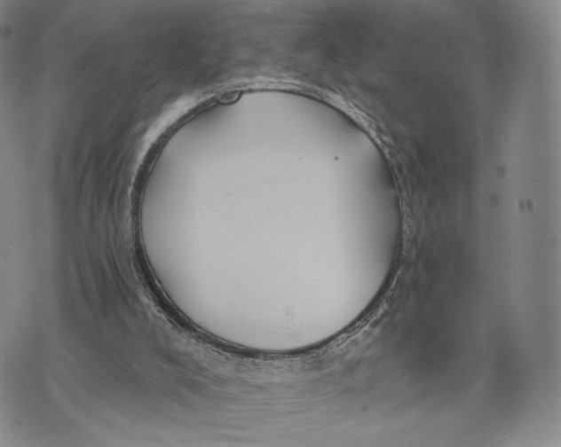 X0000074260008200609151813