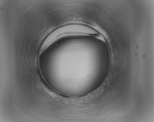 X0000074260009200609151813