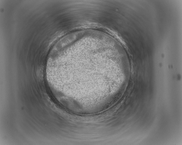 X0000074260010200609151813