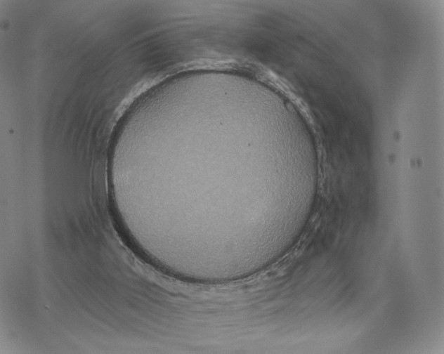 X0000074260011200609151813