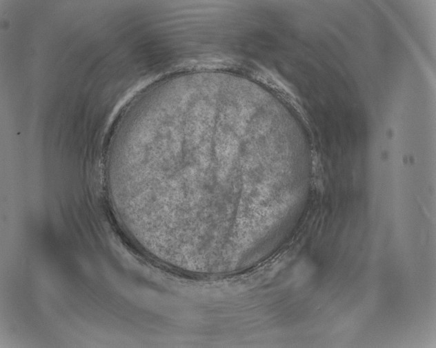 X0000074260012200609151813