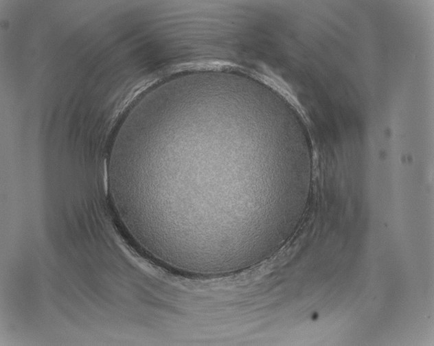 X0000074260013200609151813