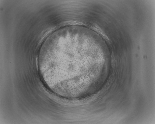 X0000074260014200609151813