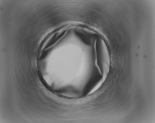 X0000074260015200609151813