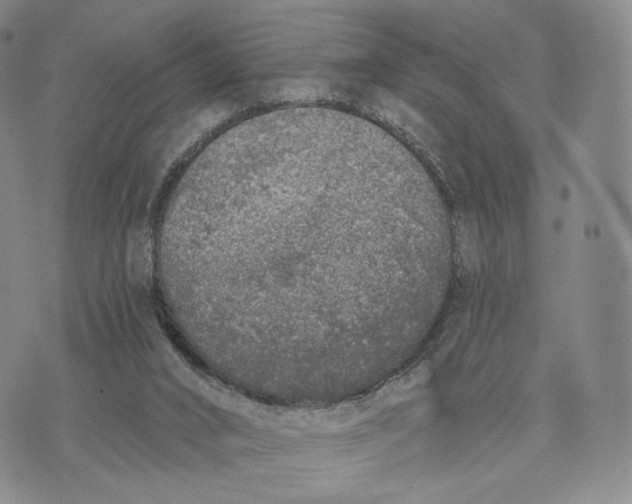 X0000074260016200609151813