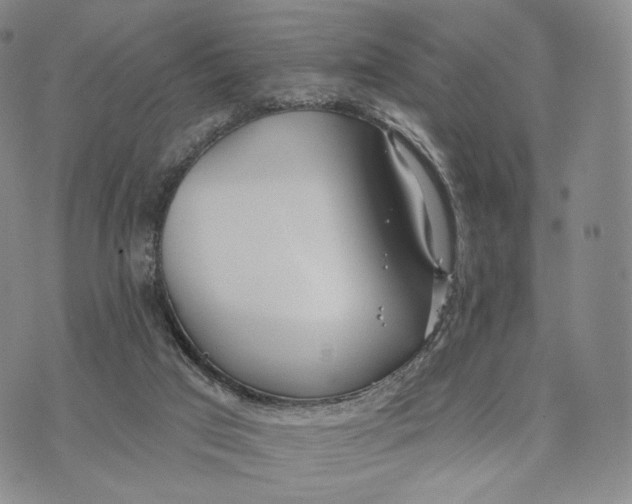 X0000074260017200609151813