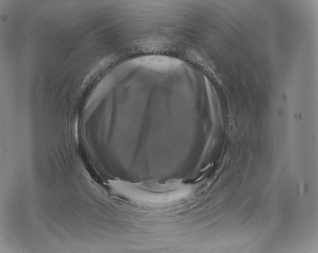 X0000074260019200609151813