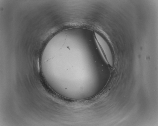 X0000074260020200609151812