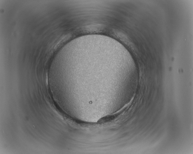 X0000074260021200609151812