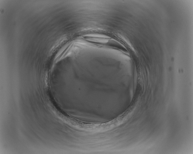 X0000074260023200609151812