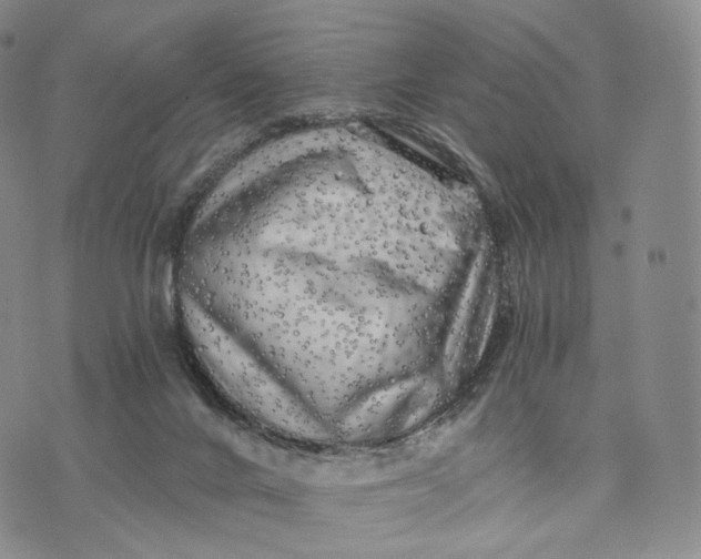 X0000074260024200609151812