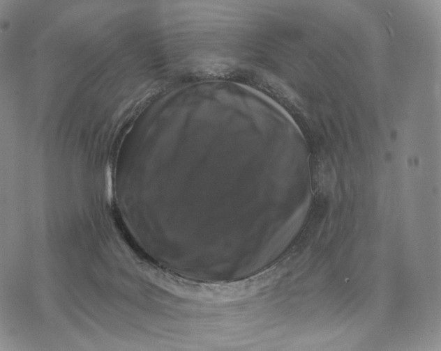 X0000074260027200609151812