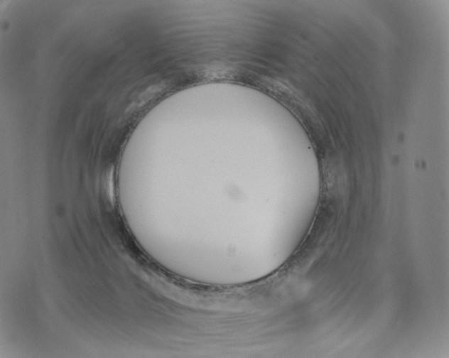 X0000074260028200609151812