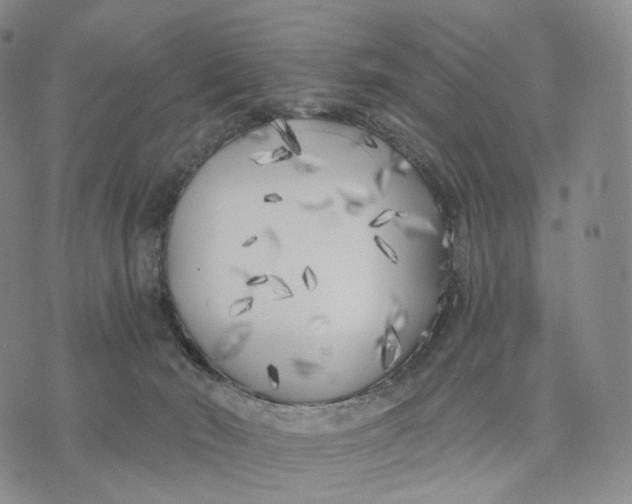 X0000074260030200609151812