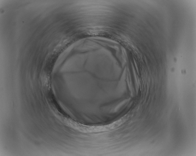 X0000074260031200609151812