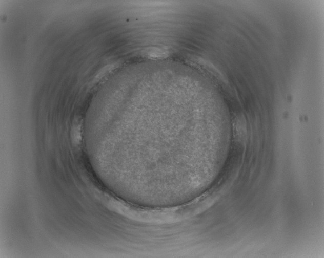 X0000074260032200609151812