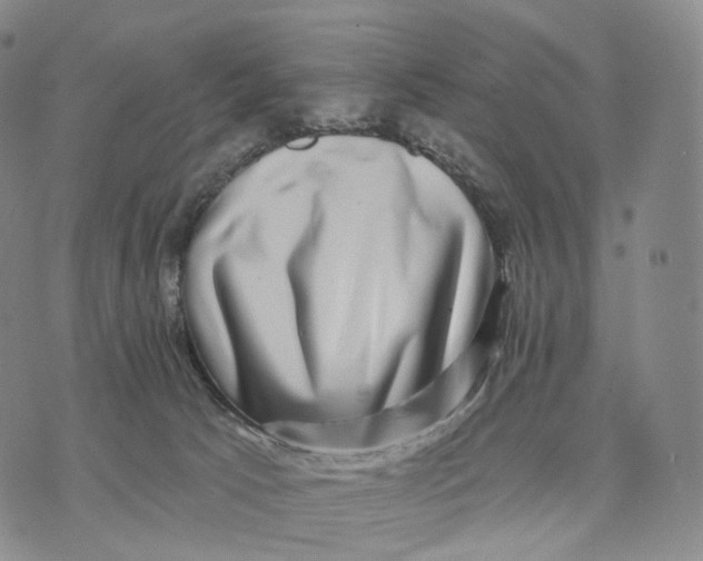 X0000074260033200609151812