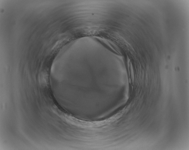 X0000074260035200609151812