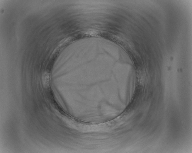 X0000074260036200609151812