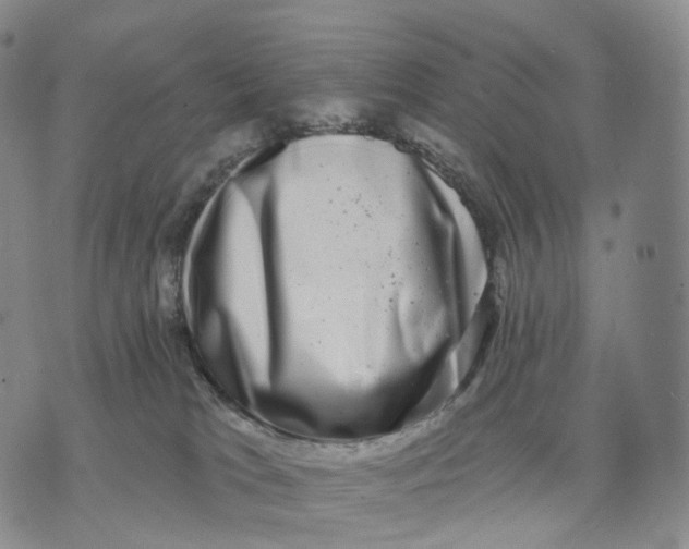 X0000074260037200609151812