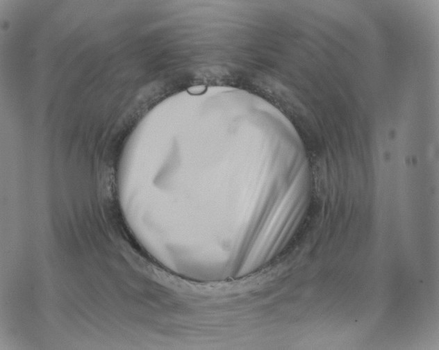 X0000074260038200609151812