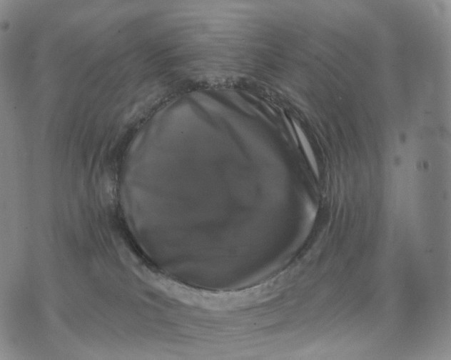 X0000074260039200609151812