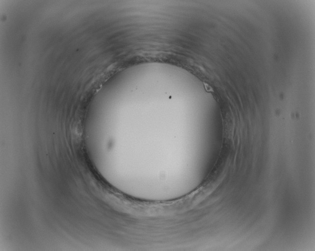 X0000074260040200609151812