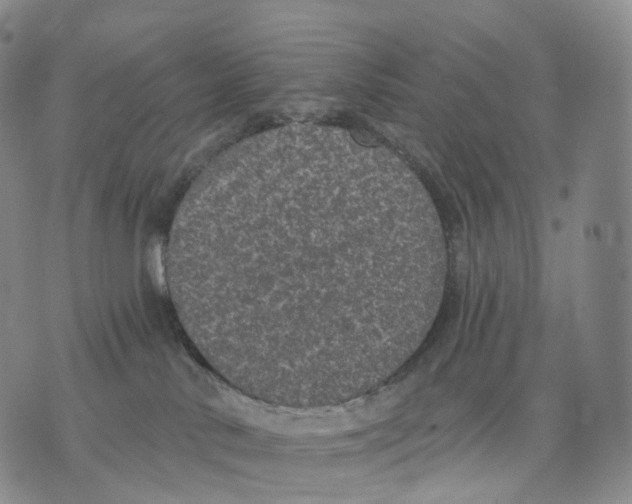 X0000074260042200609151812