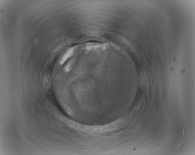 X0000074260043200609151812