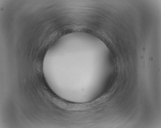 X0000074260044200609151812