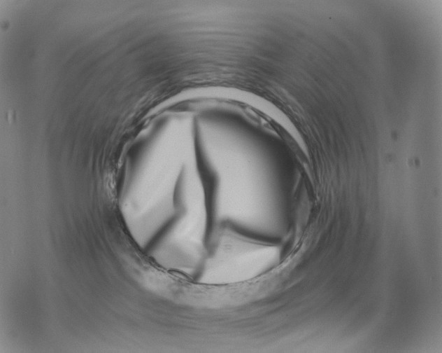 X0000074260045200609151812