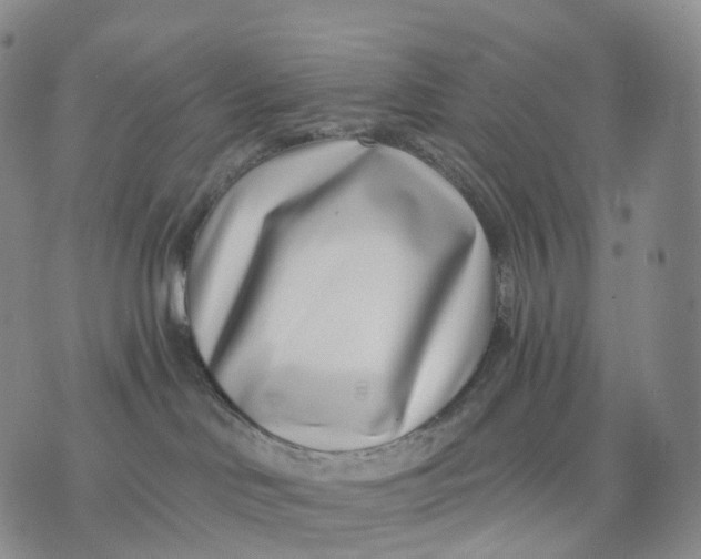 X0000074260046200609151812