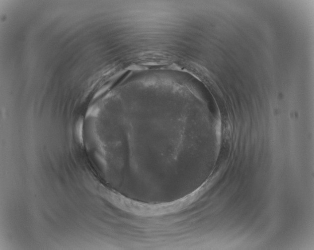 X0000074260047200609151812