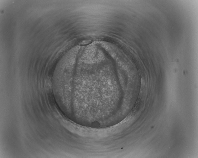 X0000074260048200609151812