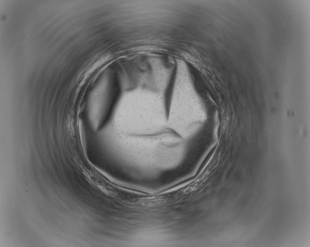 X0000074260050200609151811