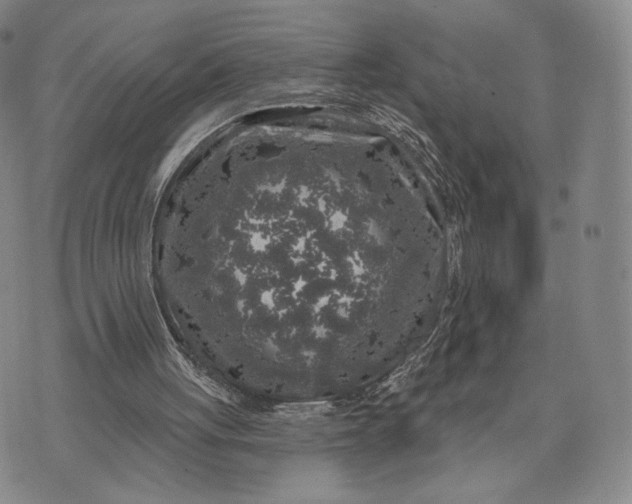 X0000074260051200609151811