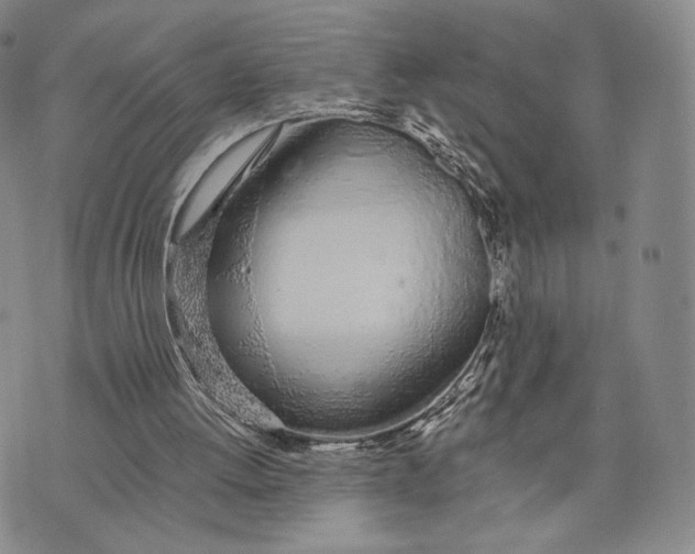 X0000074260052200609151811